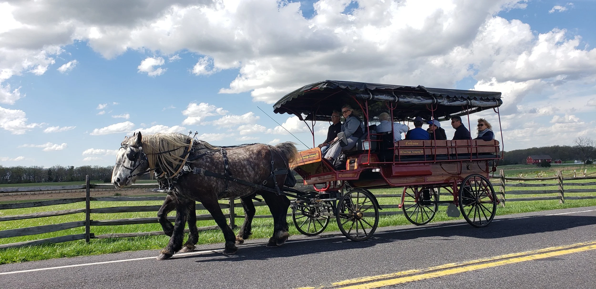  A carriage can hold you and your entire extended family. What a wonderful way to create a memory! 