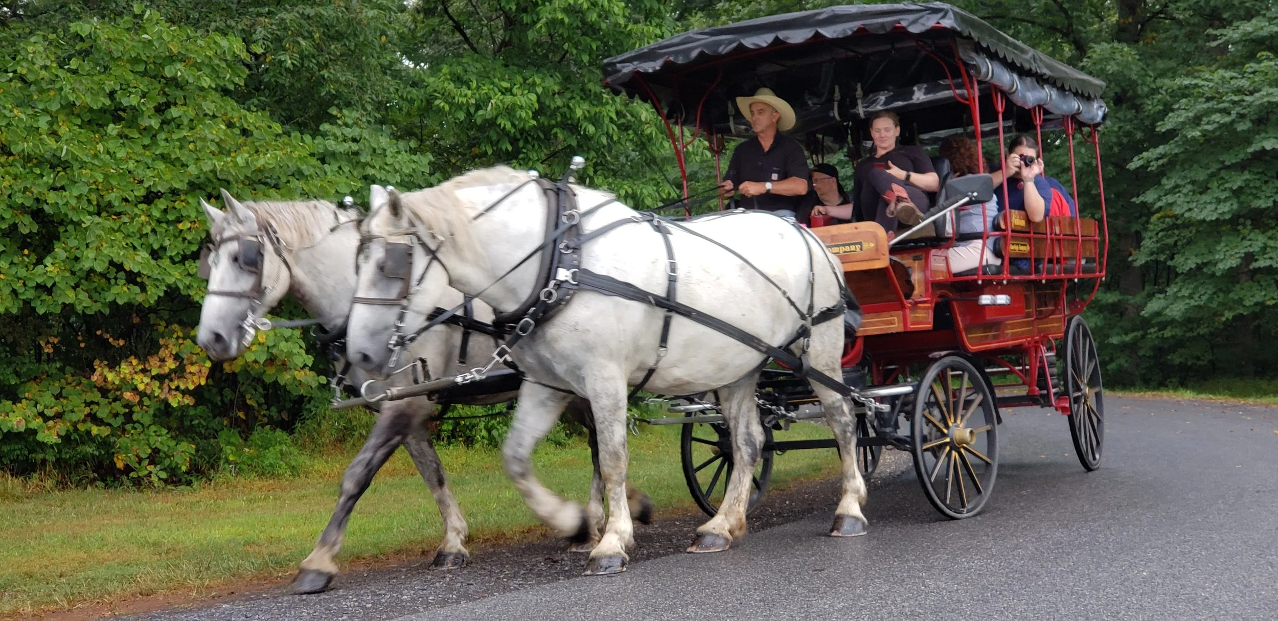 Two strong draft horses from the Victorian Carriage Company pull the wagon through the Gettysburg Battlefield