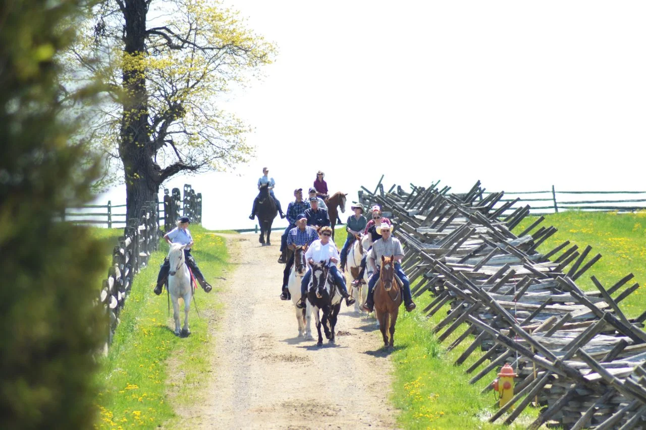 Horse_Tour.jpeg
