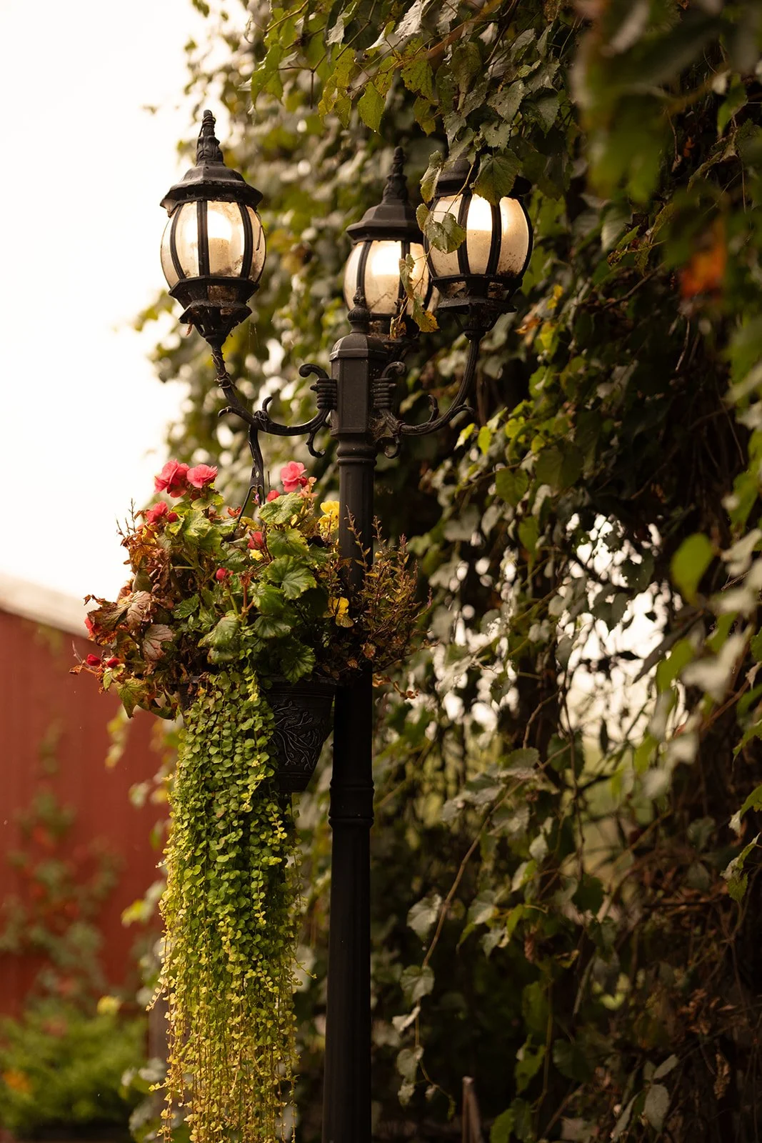 Love & Sol Photography | www.loveandsolphoto.com | @love.and.sol