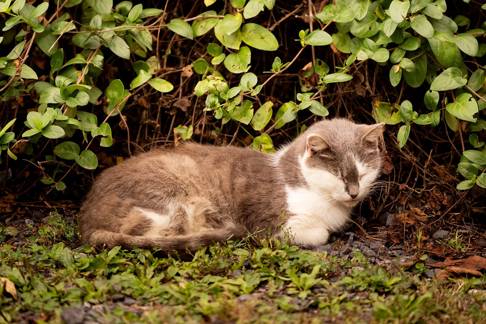 Love & Sol Photography | www.loveandsolphoto.com | @love.and.sol