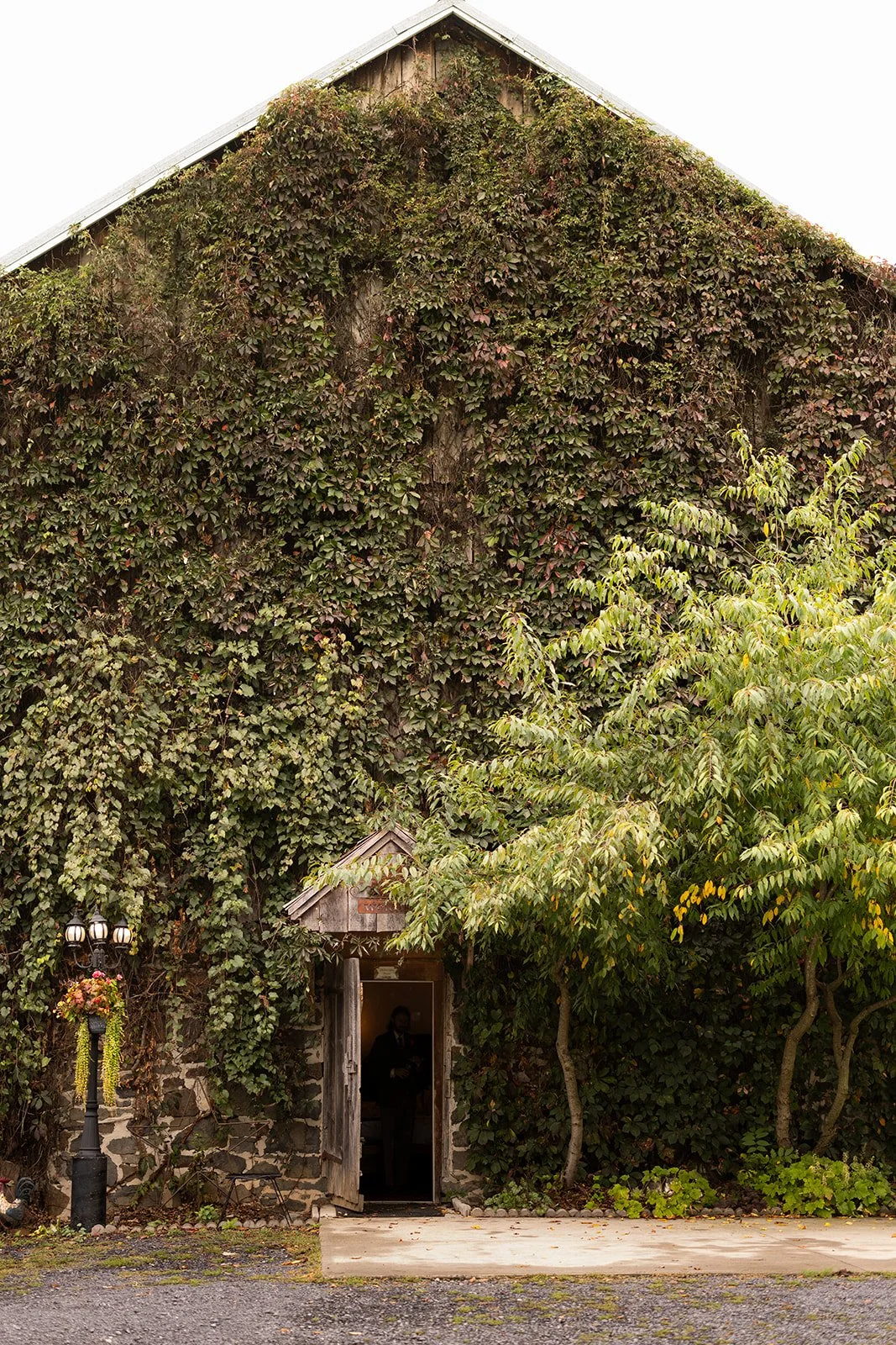 Love & Sol Photography | www.loveandsolphoto.com | @love.and.sol