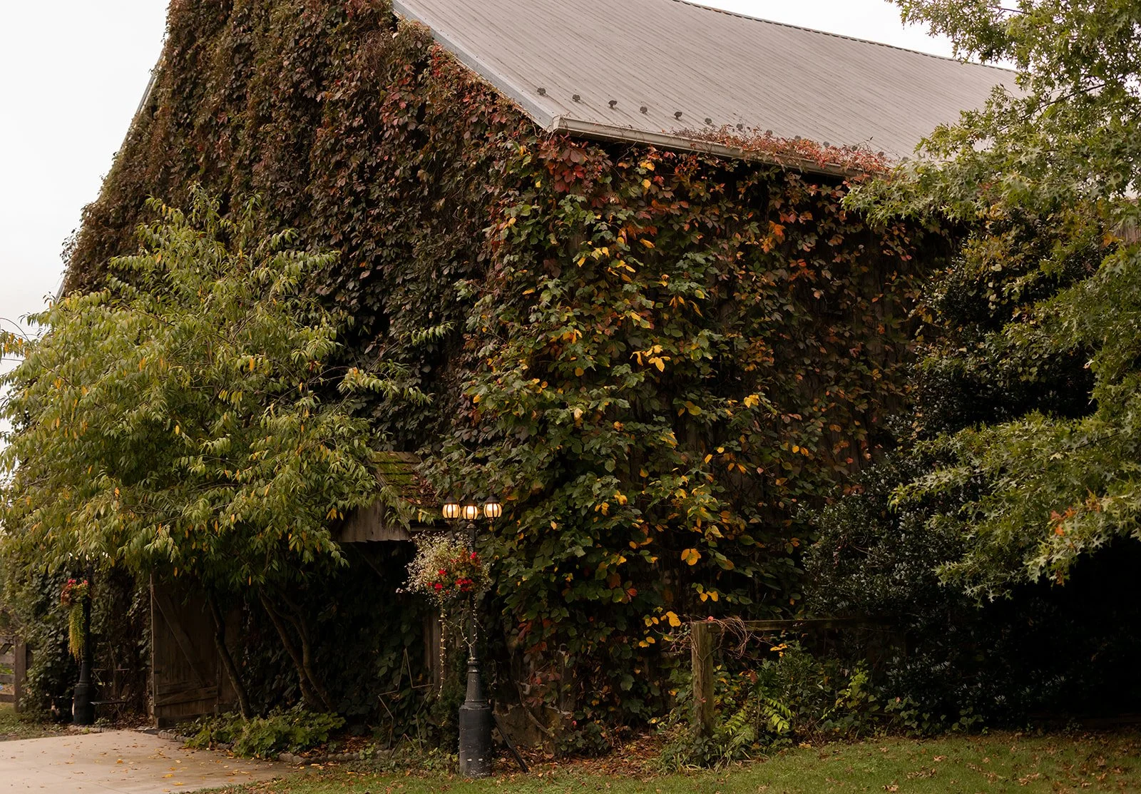 Love & Sol Photography | www.loveandsolphoto.com | @love.and.sol