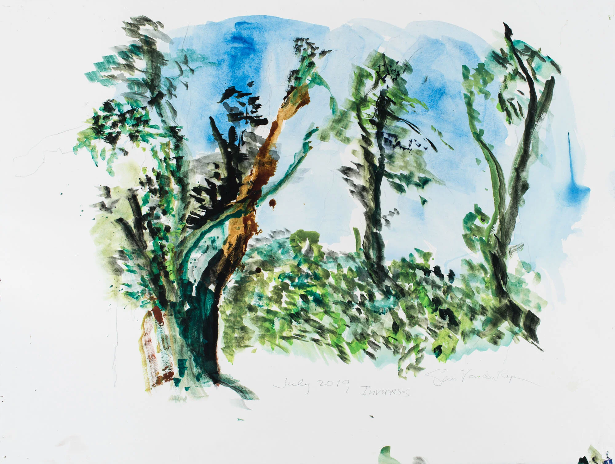 2.28_VdR-Pt Reyes-Trees_'19.jpeg