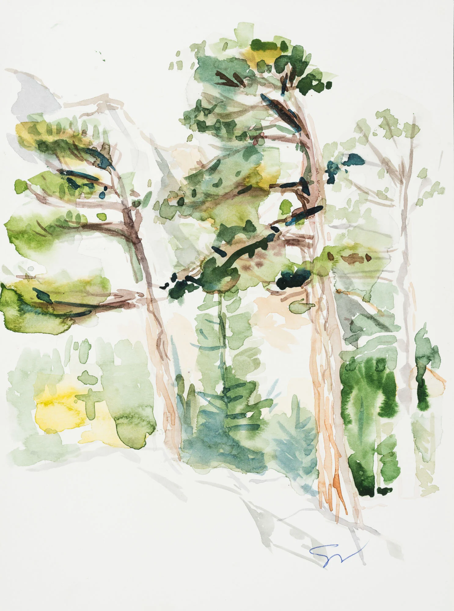 5.14_VdR-Trinity Alps.jpeg