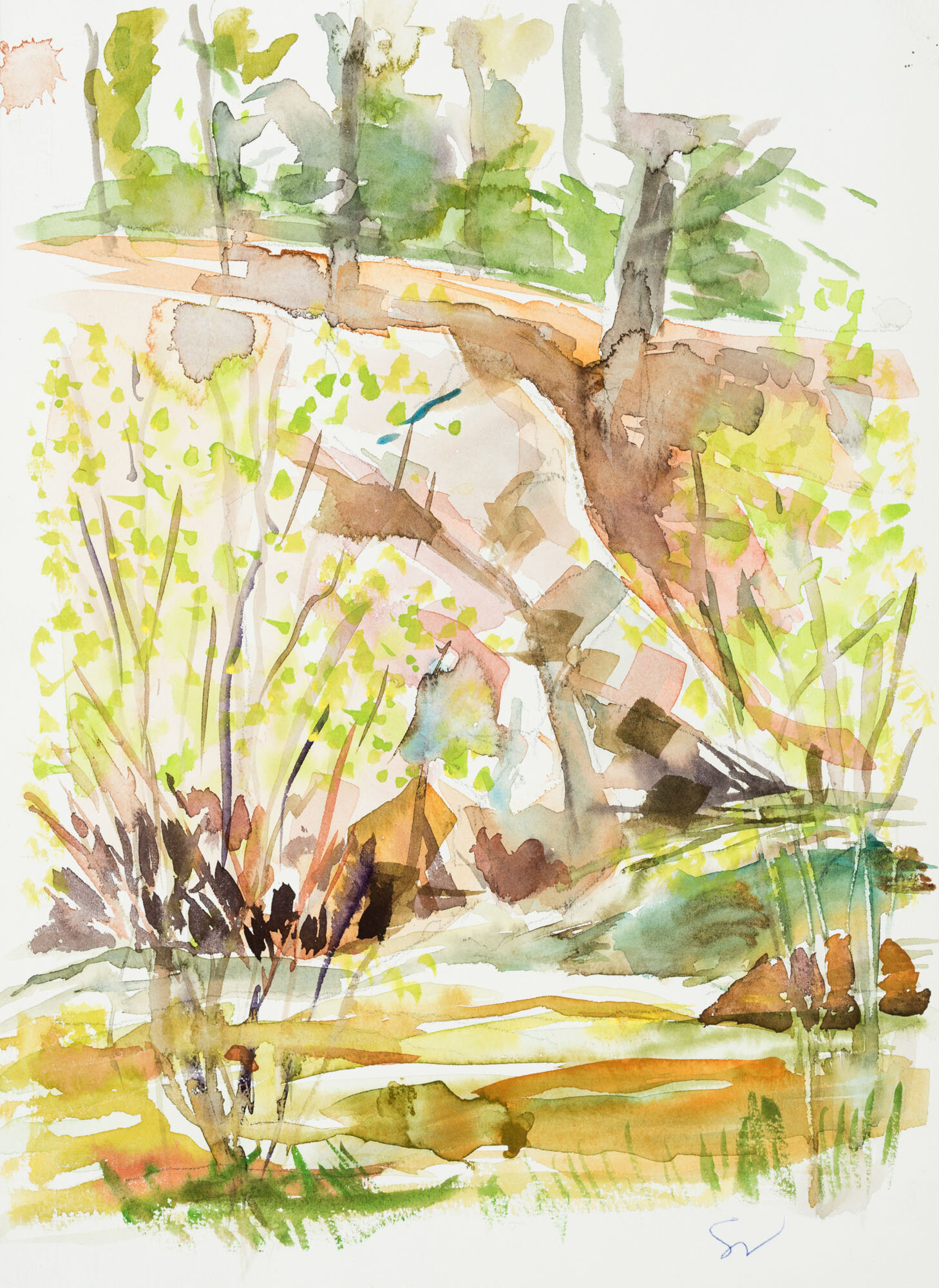 5.24_Trinty Alps.jpeg