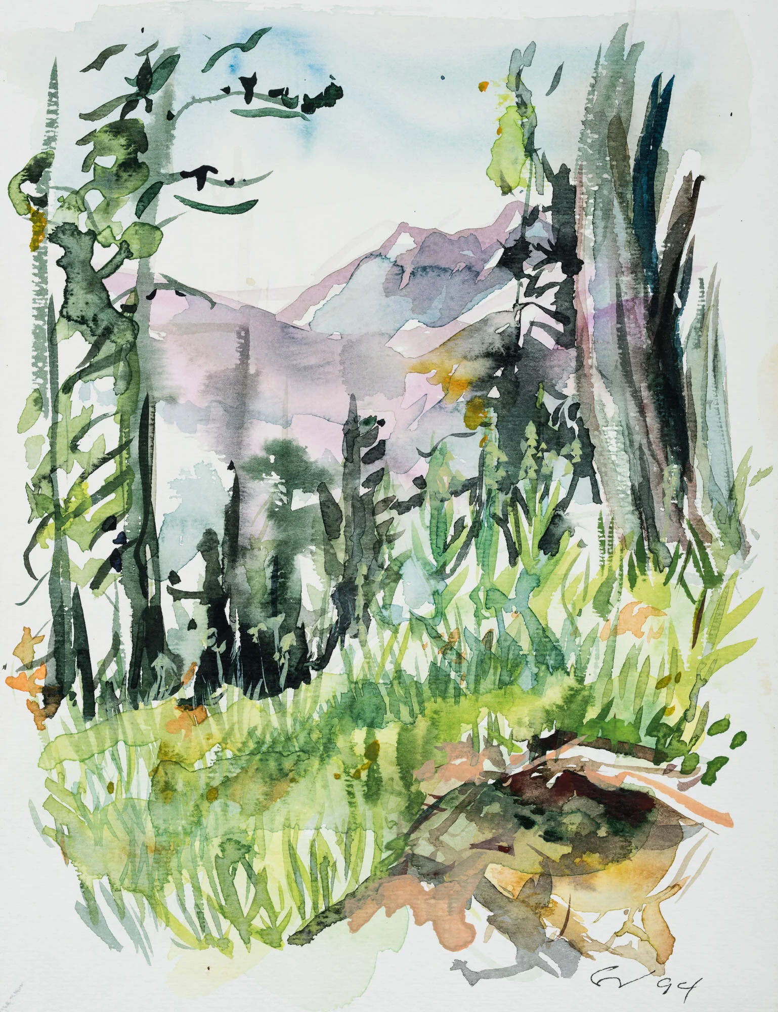 6.13_VdR_Mountain Scenery.jpeg