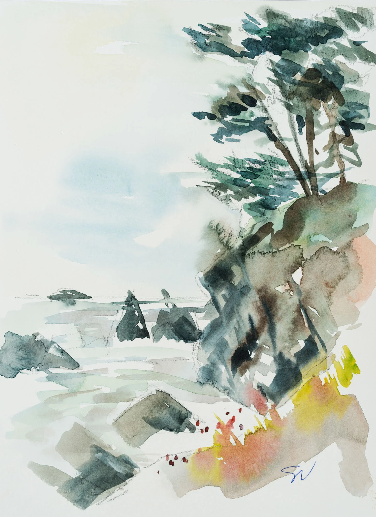 6.23_VdR_Big Sur.jpeg