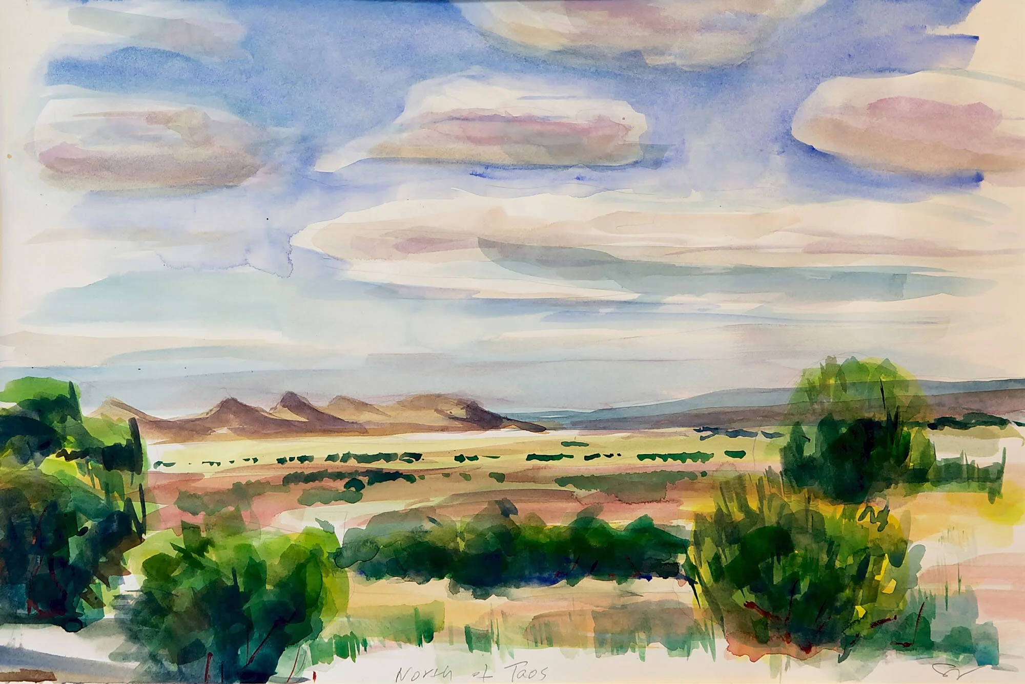 7.01_VdR_Desert_Scape (North of Taos).jpeg