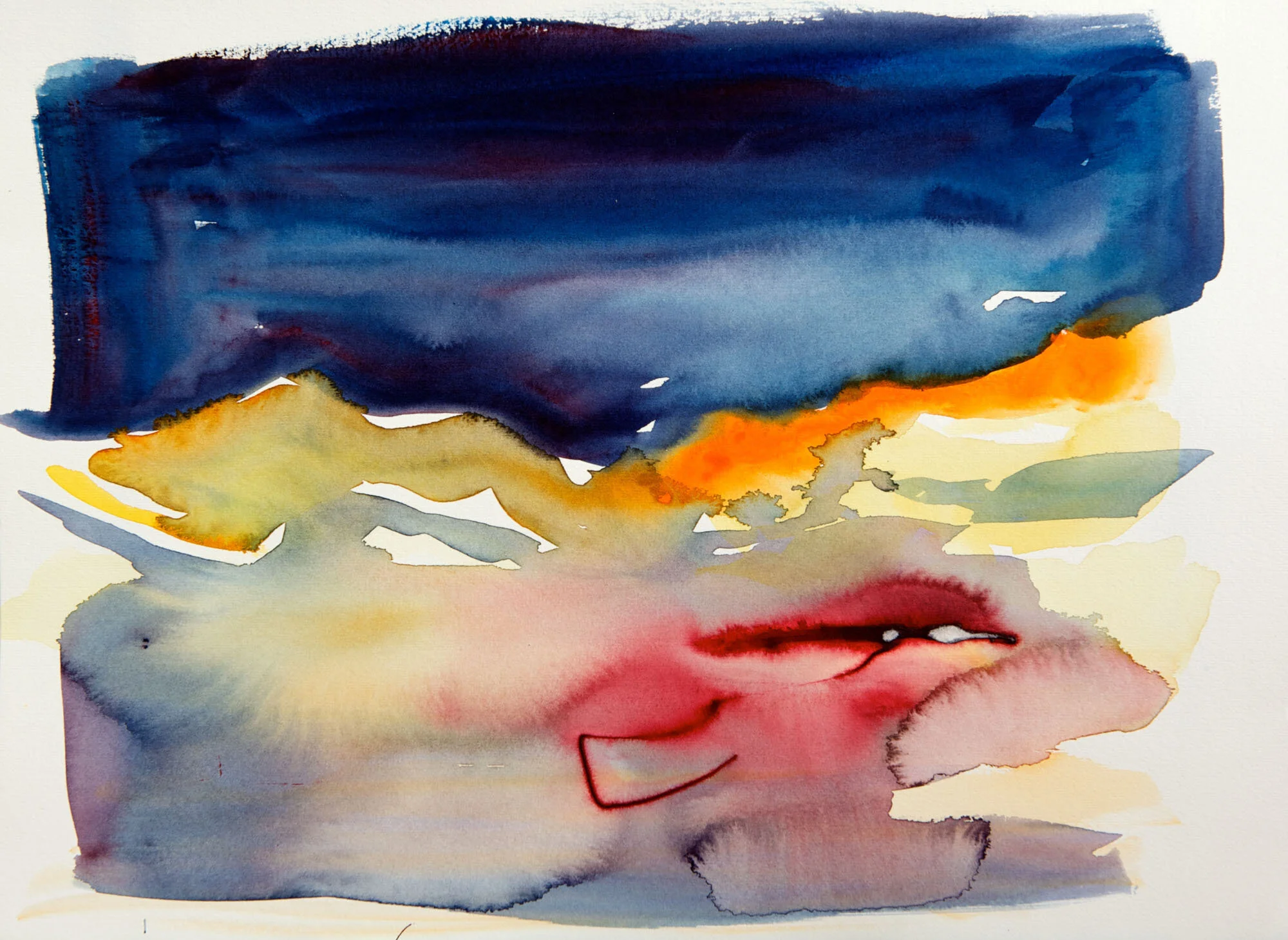 7.05_VdR_NM Sunset.jpeg