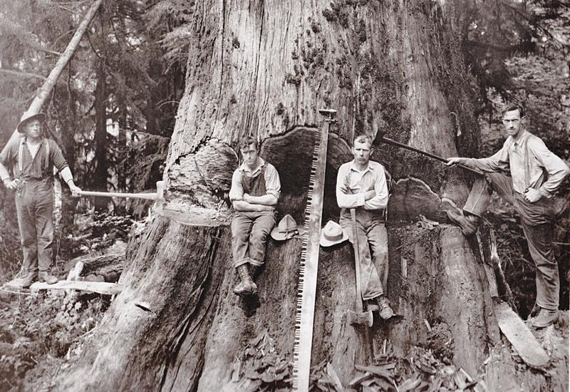 Historic logging camp at Camp Navarro