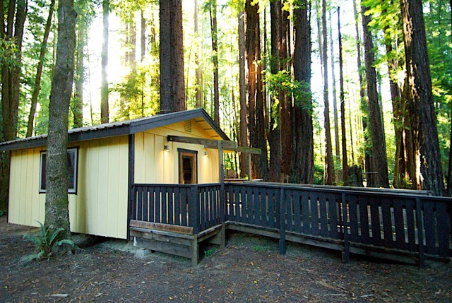 Redwood wedding venue in the forest