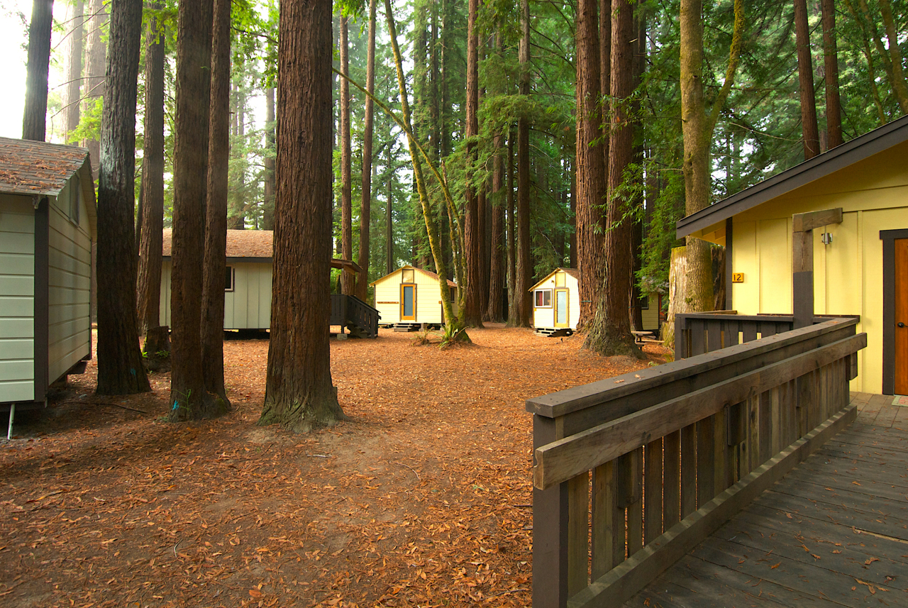 Wedding cabin wedding venue in the redwoods