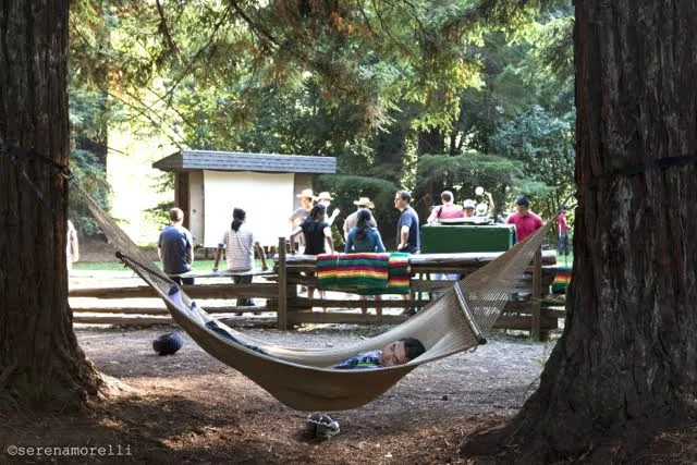 Hammock