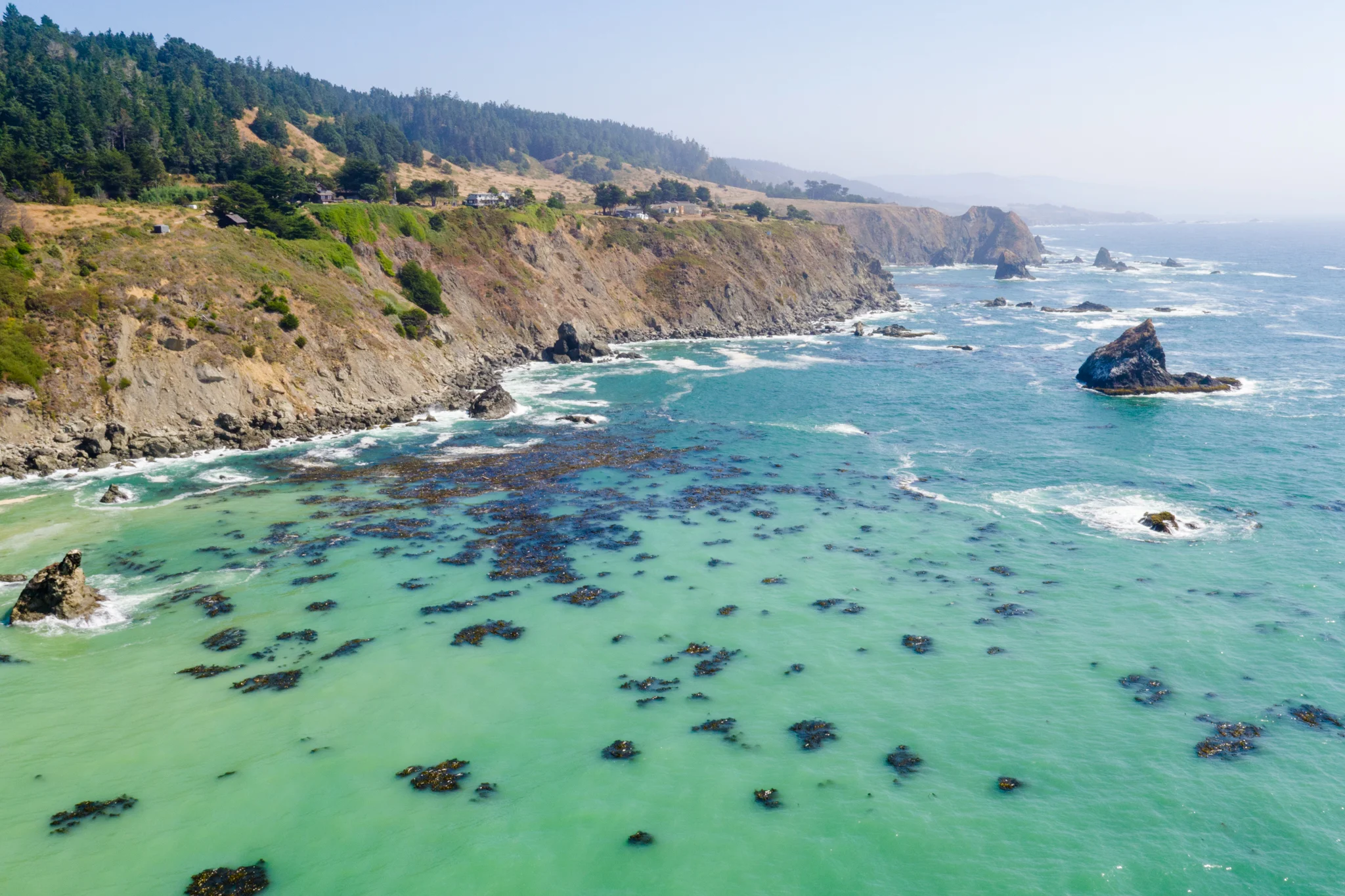 DJI_0679.jpg