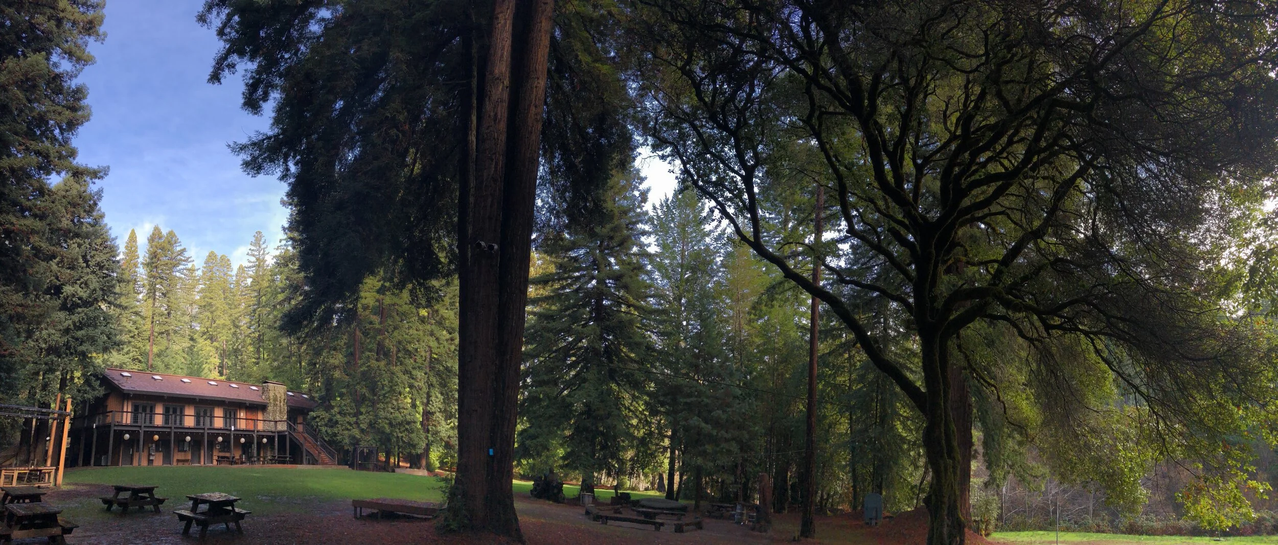 Plaza Wide Angle .JPG