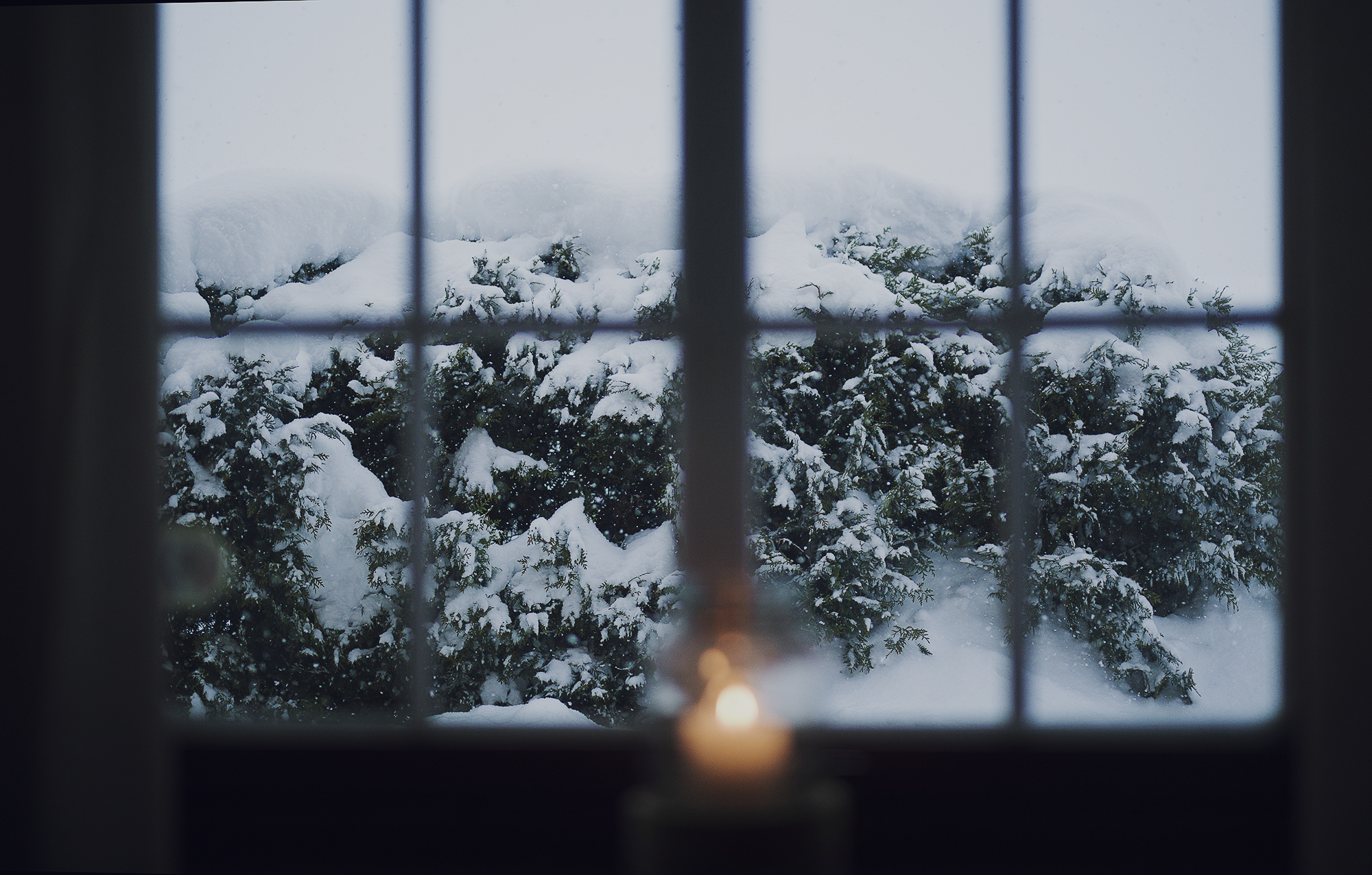 january days
