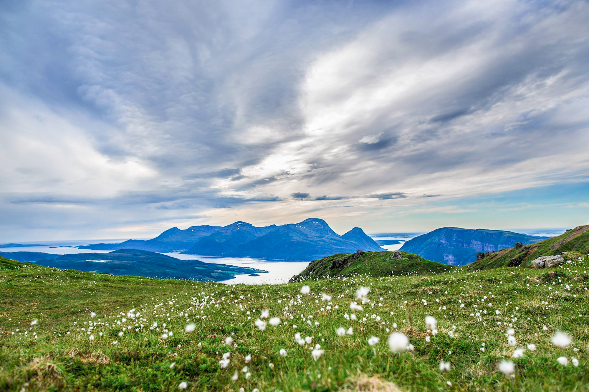 hennafjellet