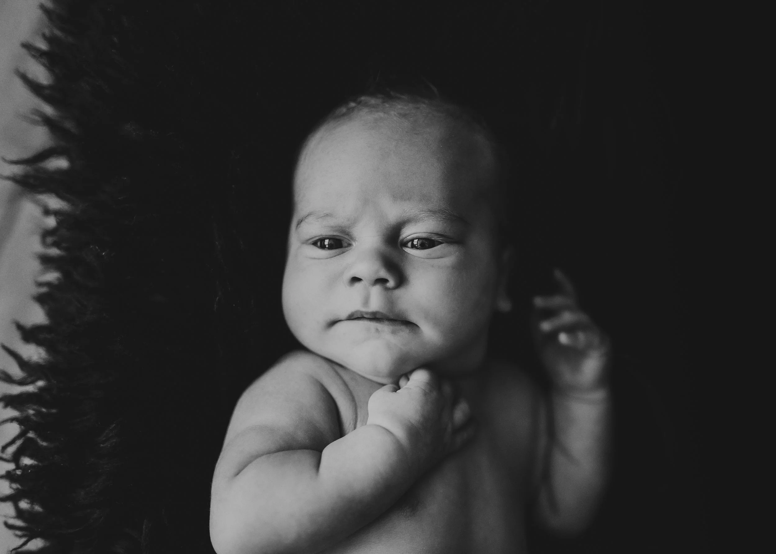 HQ_Varg_Fotograf Kristin Solem_Utvalgt_BW_1.jpg