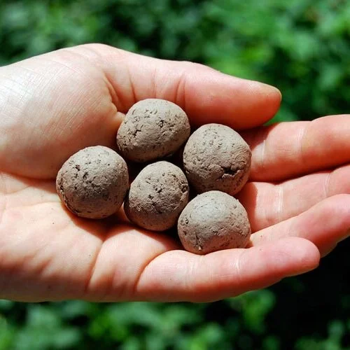 Pollinator Magic Wildflower Ready-to-Toss Seed Bombs