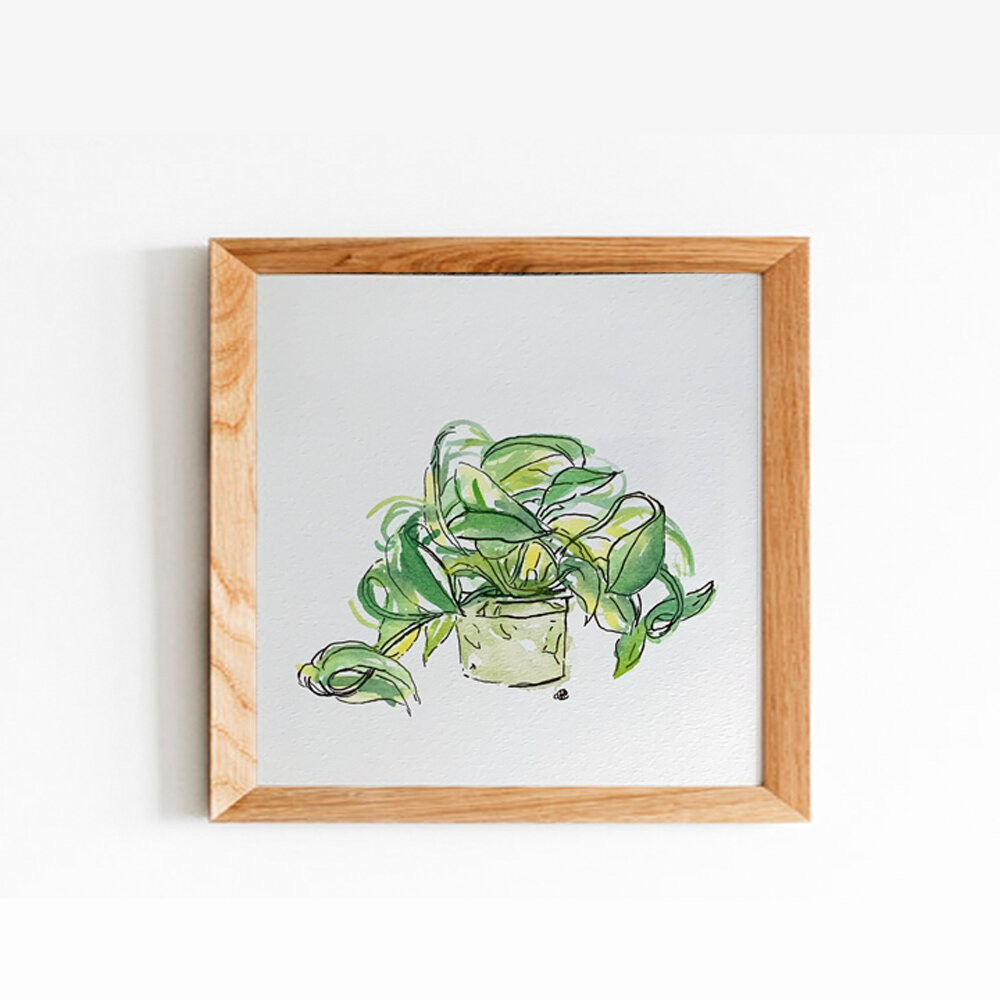 Neon Pothos - Watercolour [Original Illustration]