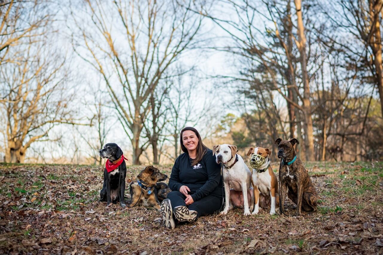 ✨Sneak Peek✨
Such a great afternoon shoot with the @mirrorimagek9 ladies and some of their amazing pups. 

#atlantadogphotographer #dogsofatlanta #dogphotoshoot