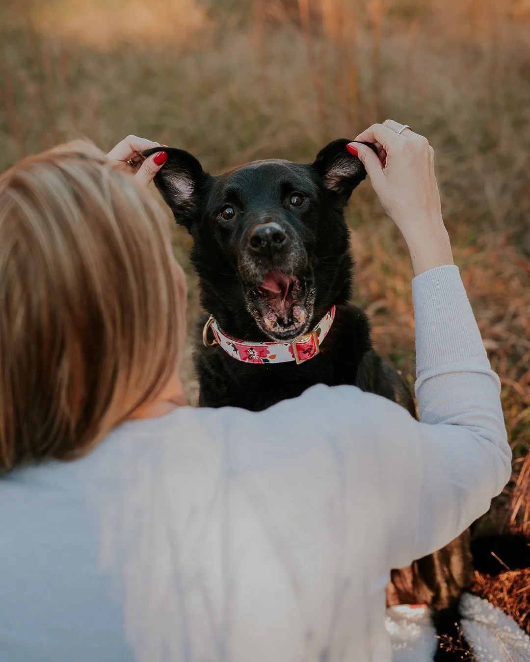Fenway was a hoot and such a good pup in front of the camera. He got lots of cuddle time with mom in the sunshine since dad is allergic to him 😫. 

#atlantadogphotographer #dogsofatlanta #dogphotoshoot #adoptdontshop