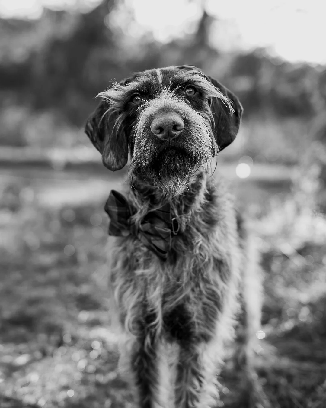 One of my favorite families returned for a third year in a row. Thinking back, each year has been so different, which I just love that I&rsquo;m getting these little glimpses into peoples&rsquo; lives. 

The first year we were all still kind of getti
