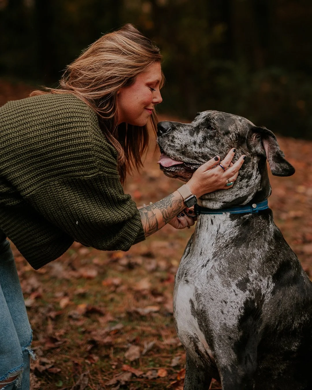 When you know they have a Great Dane but you&rsquo;re not ready to be welcomed by a horse-sized dog 😆. Apollo is  a gentle, goofy giant and could not be anymore handsome. 

#atlantadogphotographer #dogsofatlanta #dogphotoshoot