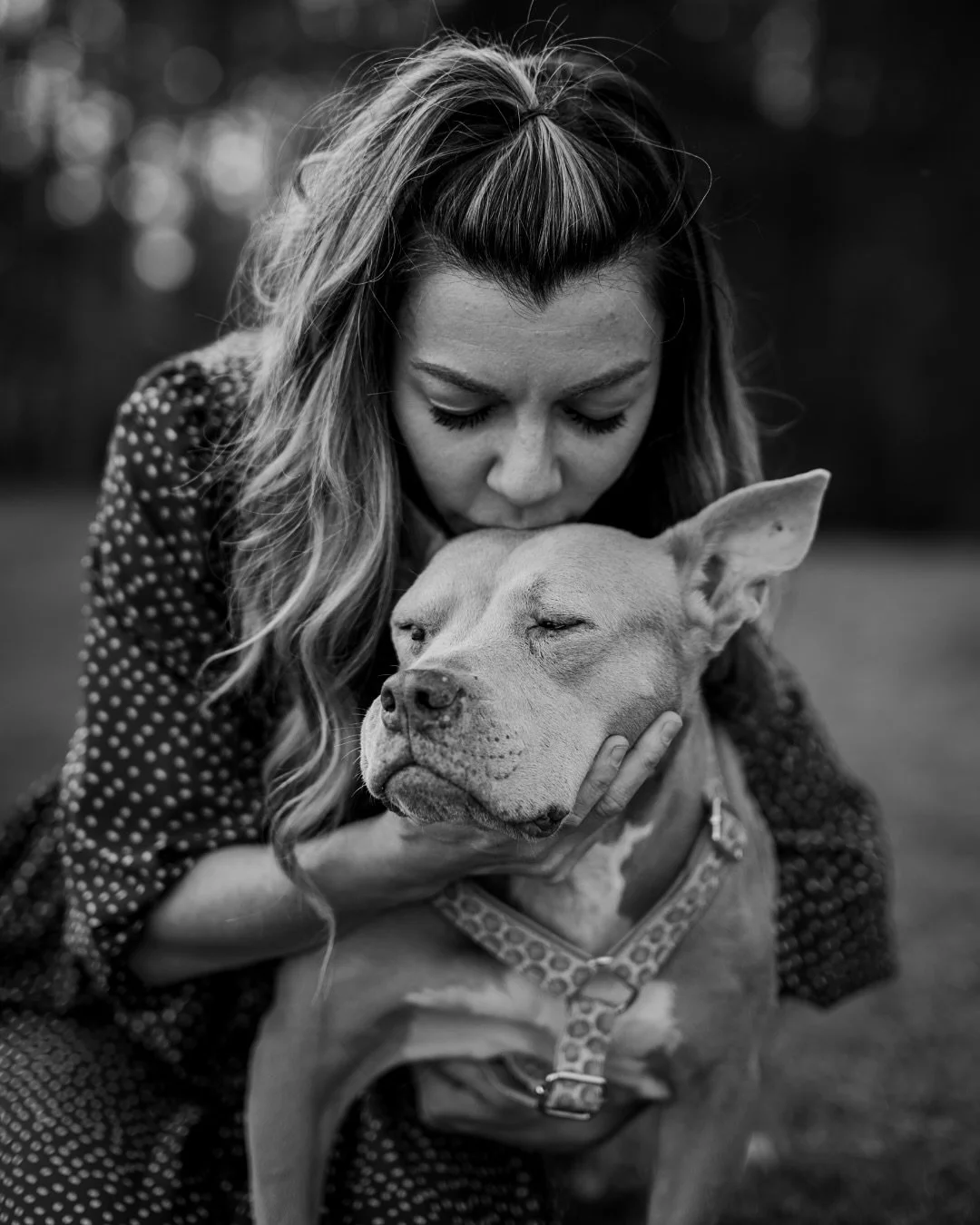 These 10-minute sessions were just pure gold 💛 

#atlantadogphotographer #dogsofatlanta #dogphotoshoot #adoptdontshop #shelterphotography