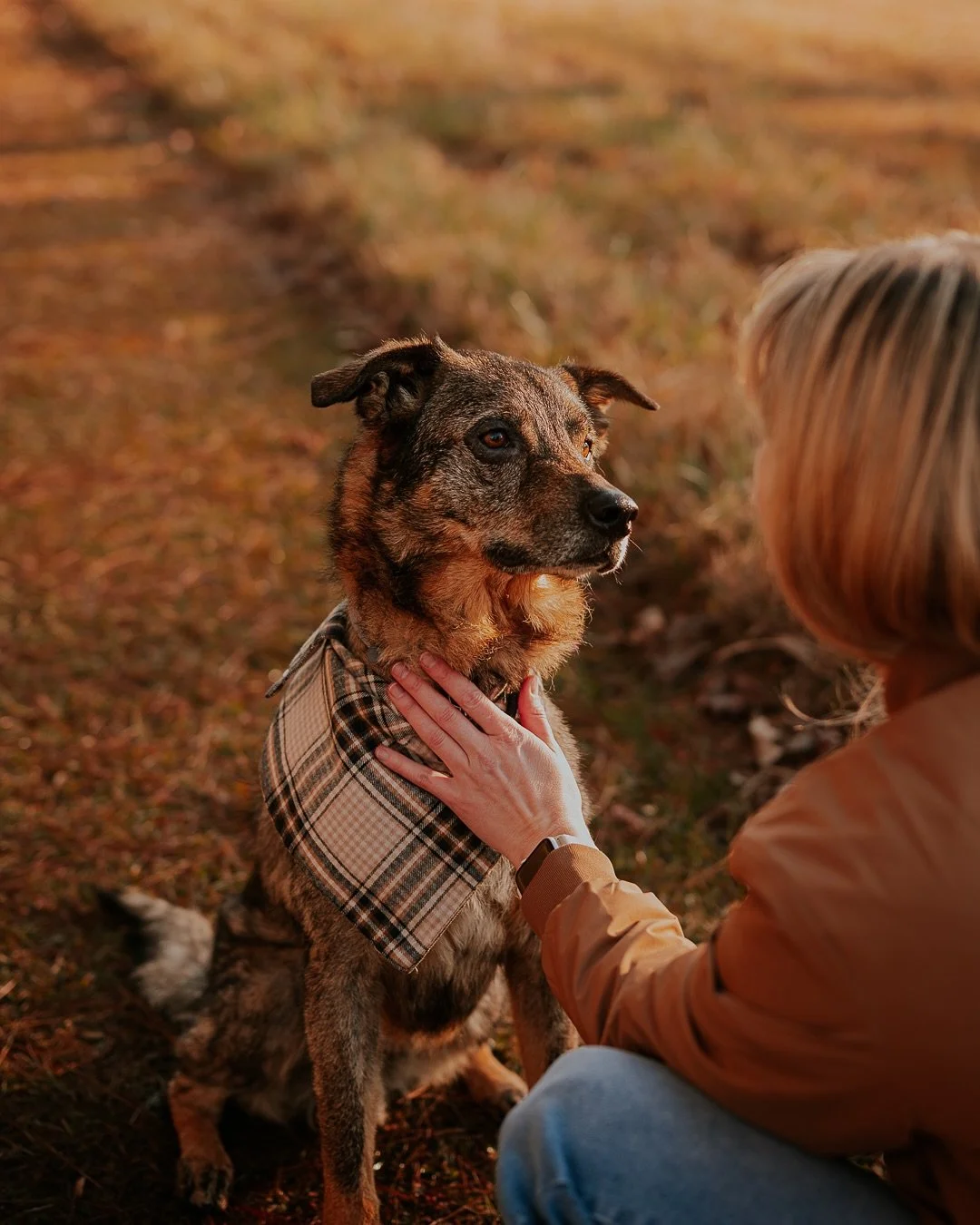 Bear and Dewey are two very lucky and amazing rescue dogs. Bear came from the @ozziealbiesfoundation and was Jamie&rsquo;s first foster fail. Dewey, who used to be Canello when he was at the @cobbcountyanimalservices was also pulled by OAF and Jamie 