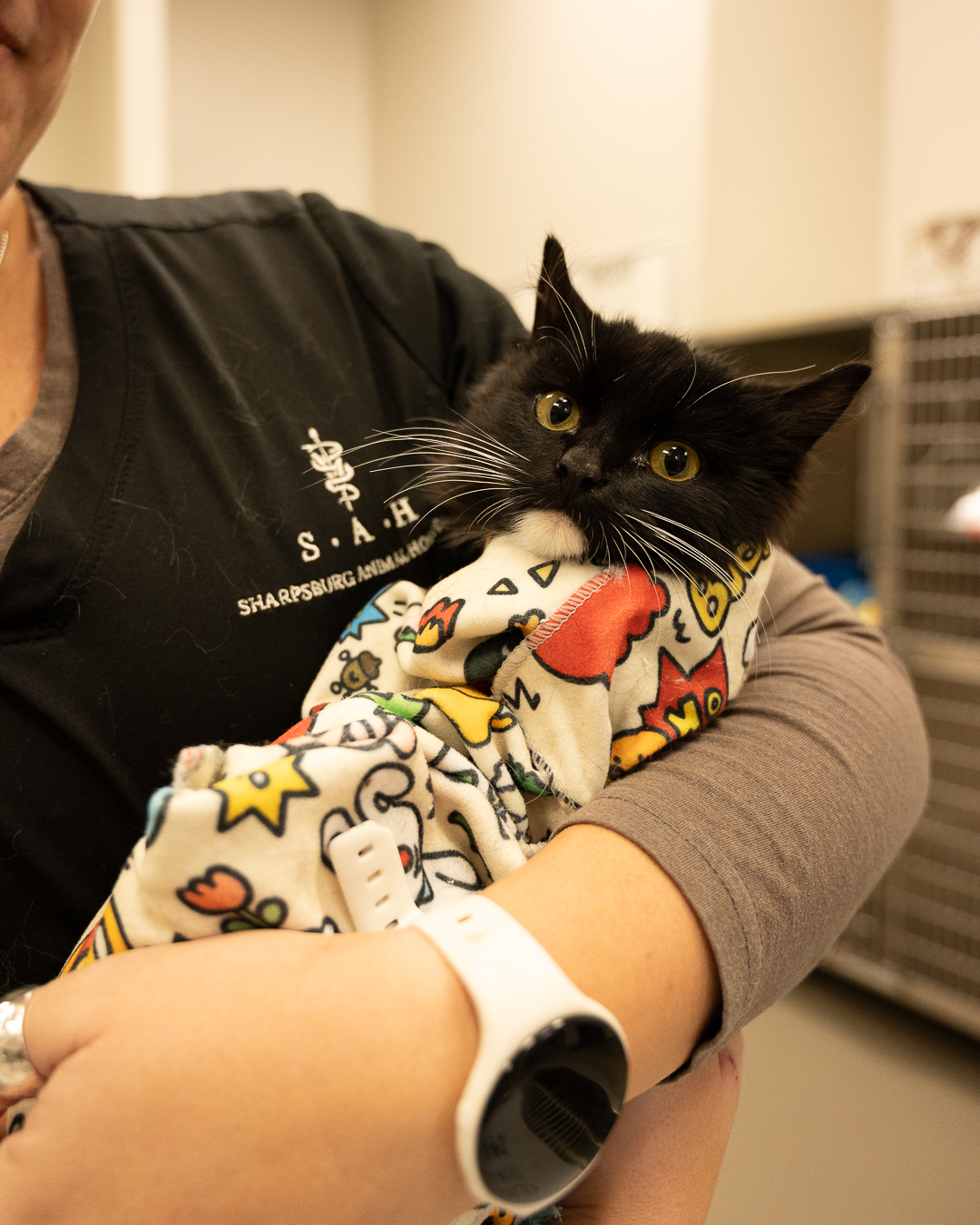 Custom Size – 31.png