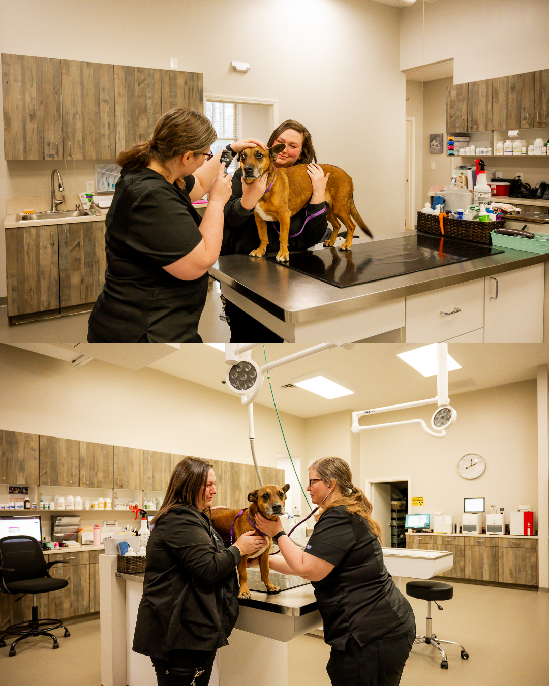 Custom Size – 32.png