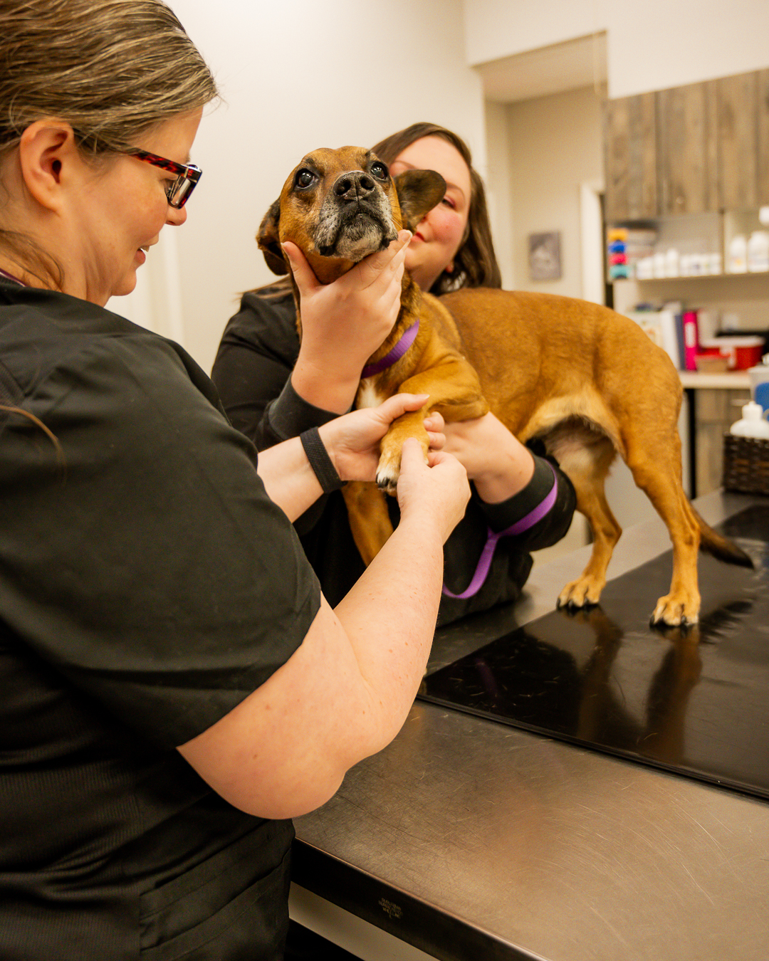 Custom Size – 33.png