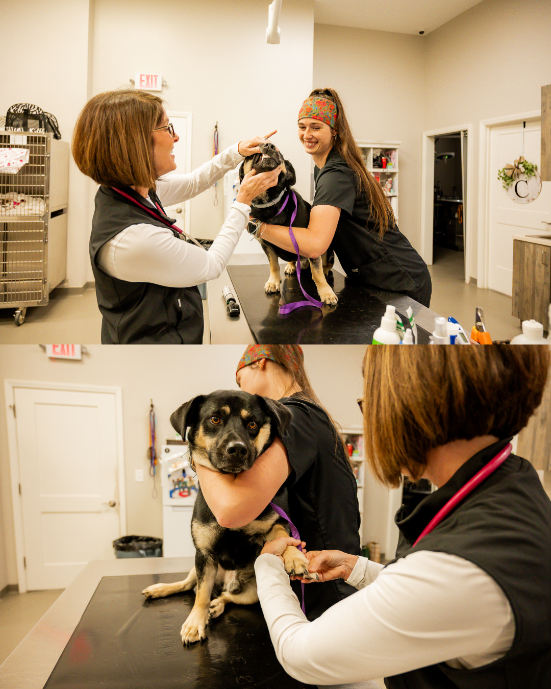 Custom Size – 34.png