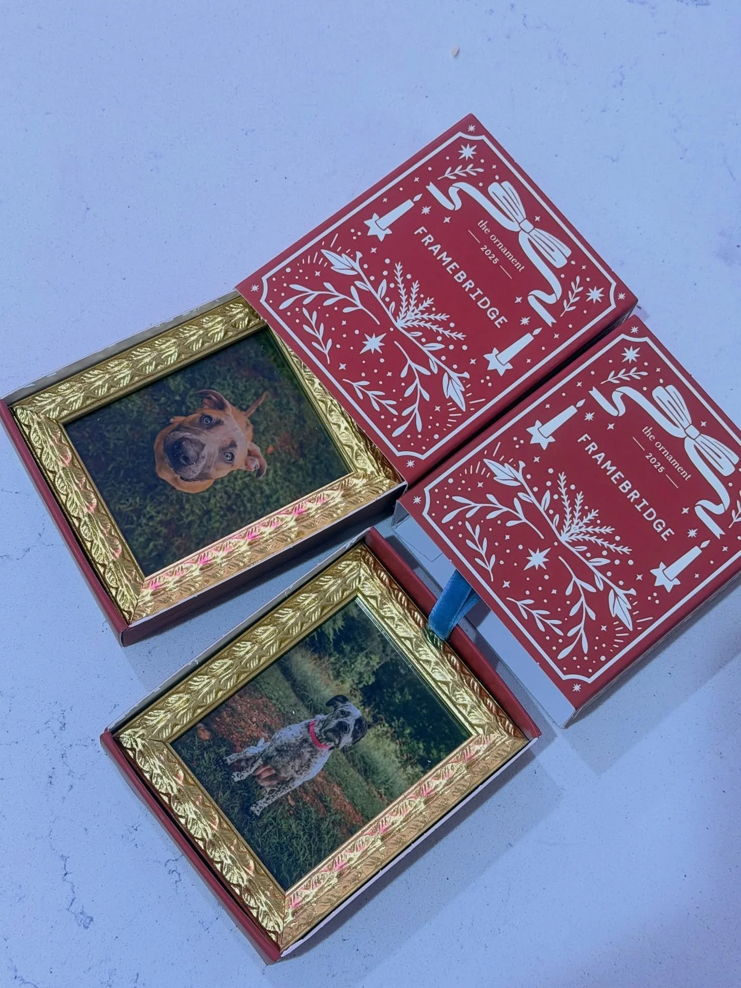 If there is one thing I wish every client would do, it&rsquo;s getting their pictures printed! Printing your photos gives those memories the space and presence they deserve.

There&rsquo;s something grounding about holding a physical photo in your ha