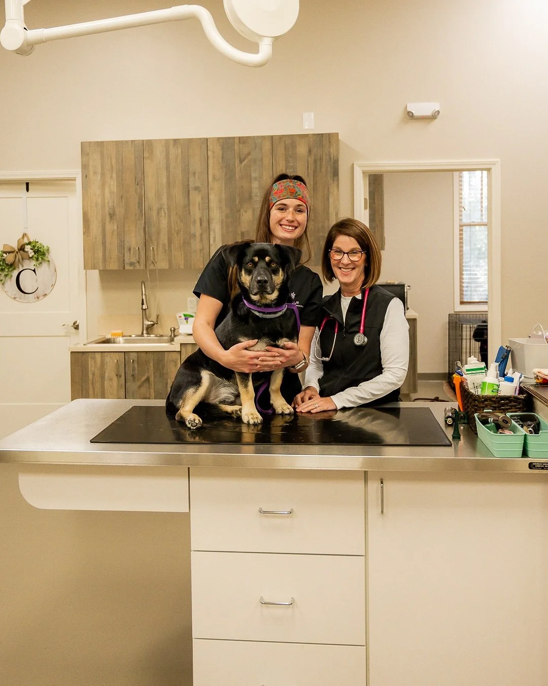 I spent time in Sharpsburg, GA photographing the incredible team of veterinarians and techs at Sharpsburg Animal Hospital. 

From kitten burritos to happy pups and professional headshots, this veterinary clinic photography session captured the heart 