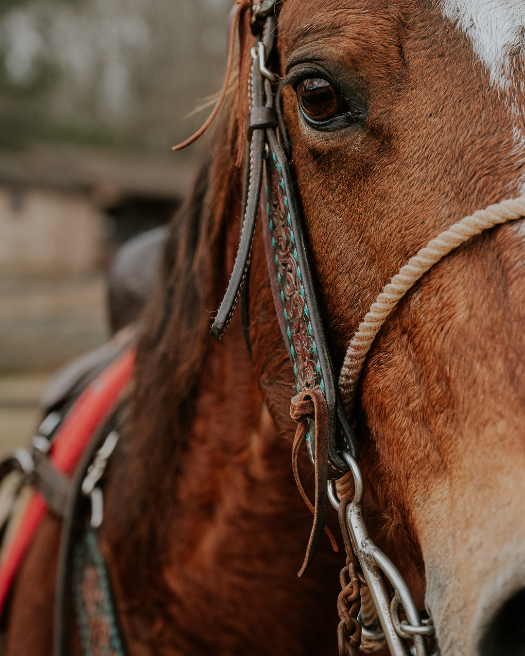 Custom Size – 1.png