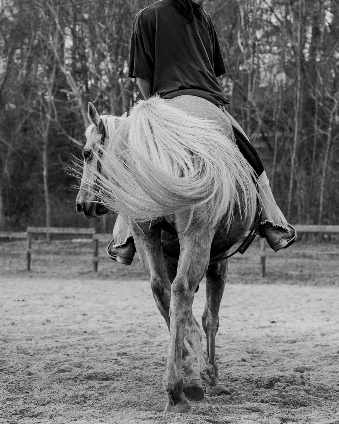 Custom Size – 3.png