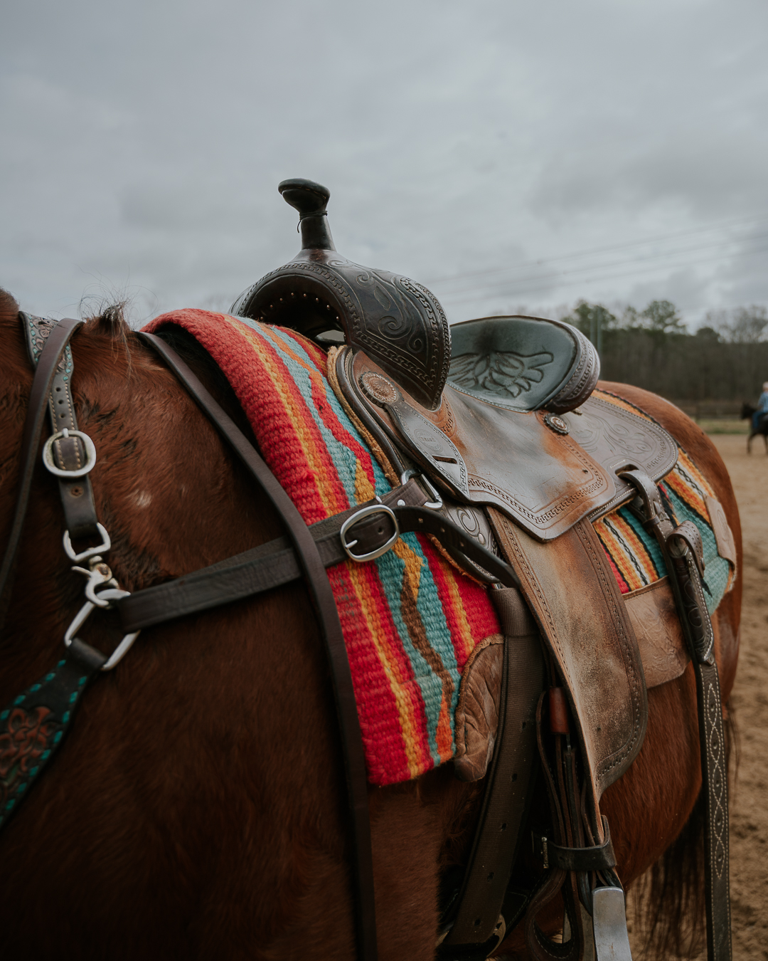 Custom Size – 5.png