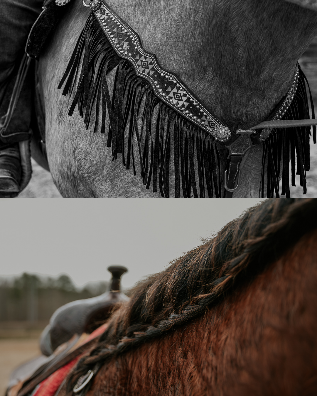 Custom Size – 8.png