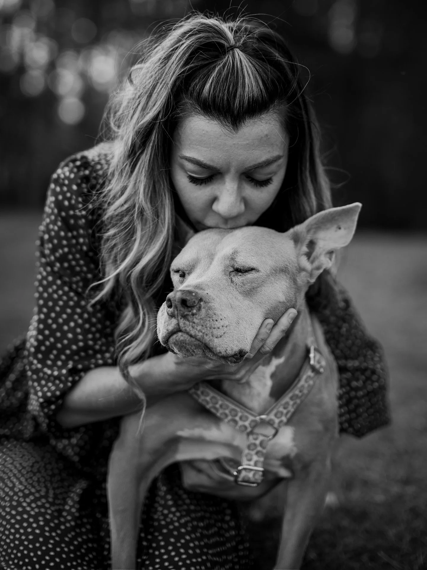 Perfection is easy to generate but the real connection between dogs and their people is earned.

AI can create a flawless image, but it cannot capture the quiet moments or the bond you share with your dog. That is what I photograph.

If you want imag