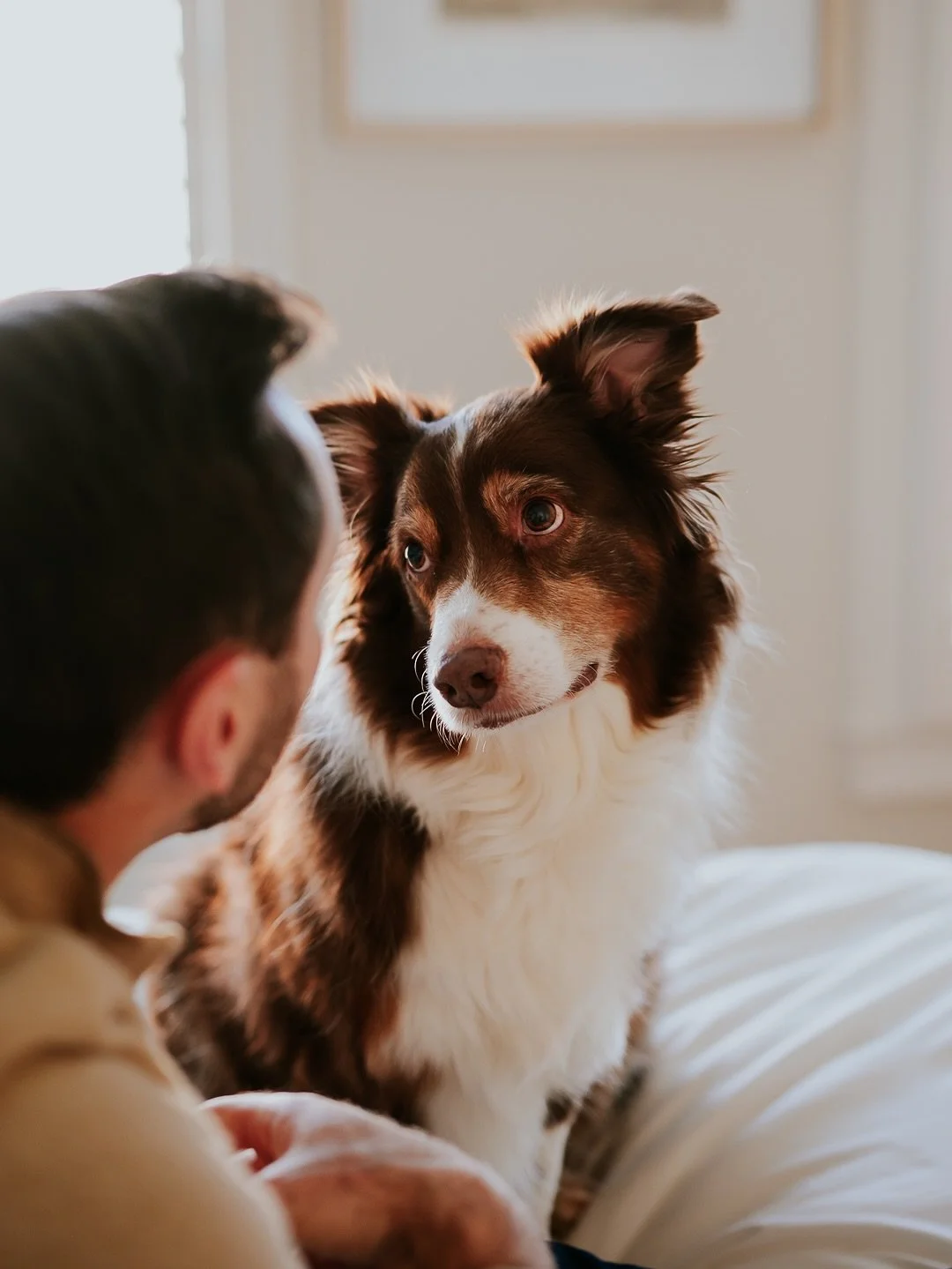 This beautiful family added a tiny, fluffy new member and we knew we had to capture the chaos 😆. Sweet little Sally keeps everyone on their toes, including big brother Wrangler. 

#atlantadogphotographer #dogsofatlanta #dogphotoshoot