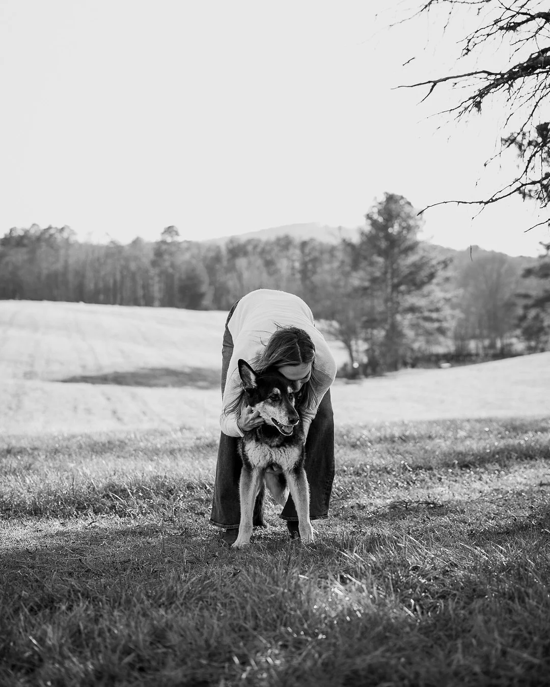 I think GSPs are one of the funniest kids out there and Milo certainly didn&rsquo;t disappoint. The looks, the head tilts, the stuck lips&hellip; they are just hilarious creatures. Nala was the calm sweet old girl who was a trooper and she is turning