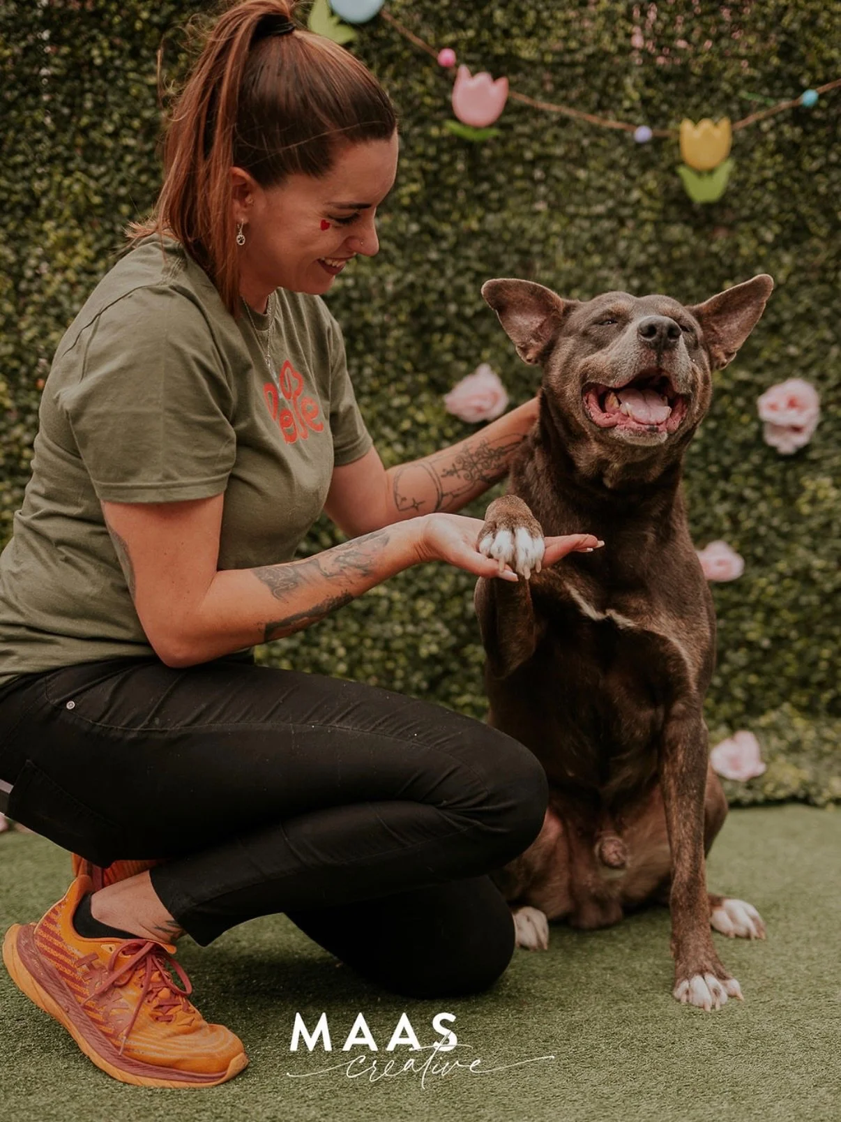 @cloverrep and @sharing.lov accompanied me to the shelter this past Monday and we had some fun with the pups. Some of the dogs I&rsquo;ve had in front of the camera way too many times&hellip; some have been waiting for way too long. 

If you have eve