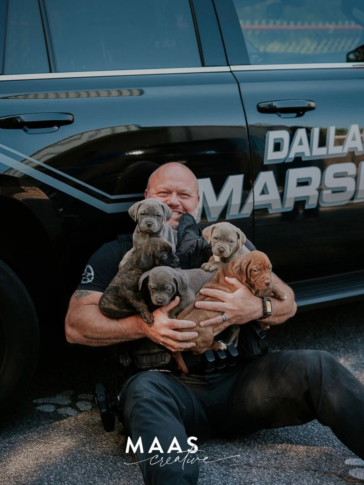 We forced the Marshals to help us with a photo shoot. As you can see they had a terrible time. All 5 puppies in the first picture got adopted over the weekend!! 🤩 

If you have ever thought about adding a loyal and sweet companion to your family, no