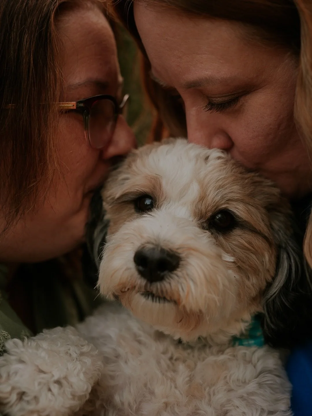 Bridget booked this session for herself and her sister to capture the love they have for sweet Tucson whom she describes as a delightful menace 😆. He keeps them on their toes but also brings much needed light and love to their everyday. 💕

#atlanta
