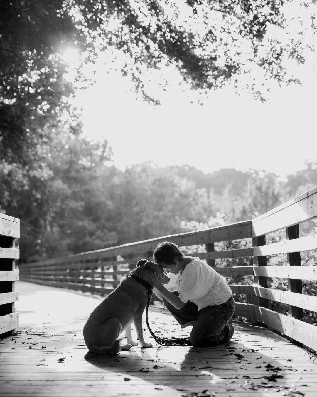 A fun, early morning calendar session with Lucas, a $10 @lifelineanimal special, and his very entertaining family. In my questionnaire Zany mentioned that I didn&rsquo;t need to know anything other than anyone in the home would gladly die for Lucas ?
