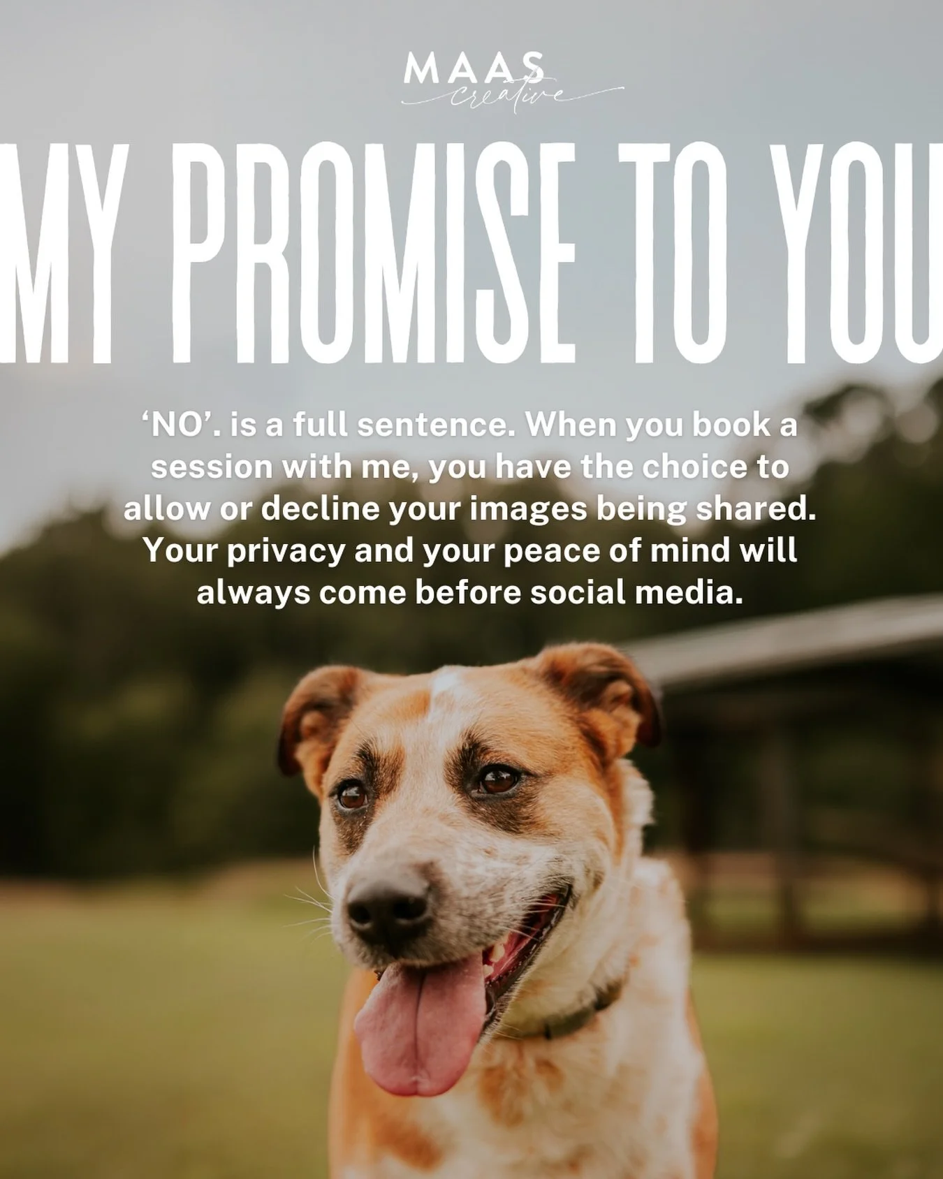 A promise I want everyone who works with me to know. 🤍

I will never show a child&rsquo;s face on my social media channels. Their privacy, safety, and childhood belong to them, and protecting that is something I take seriously.

When you book a sess