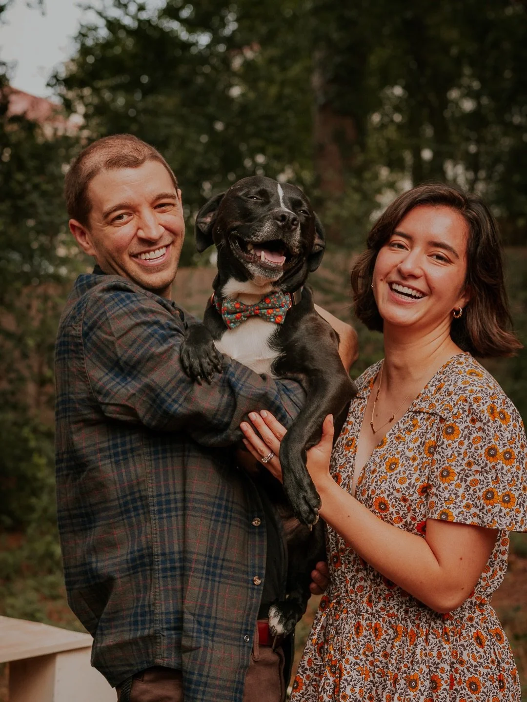 Happy National Black Dog Day to some of the incredible black dogs I&rsquo;ve had the pleasure of photographing 🖤

#atlantadogphotographer #dogsofatlanta #dogphotoshoot